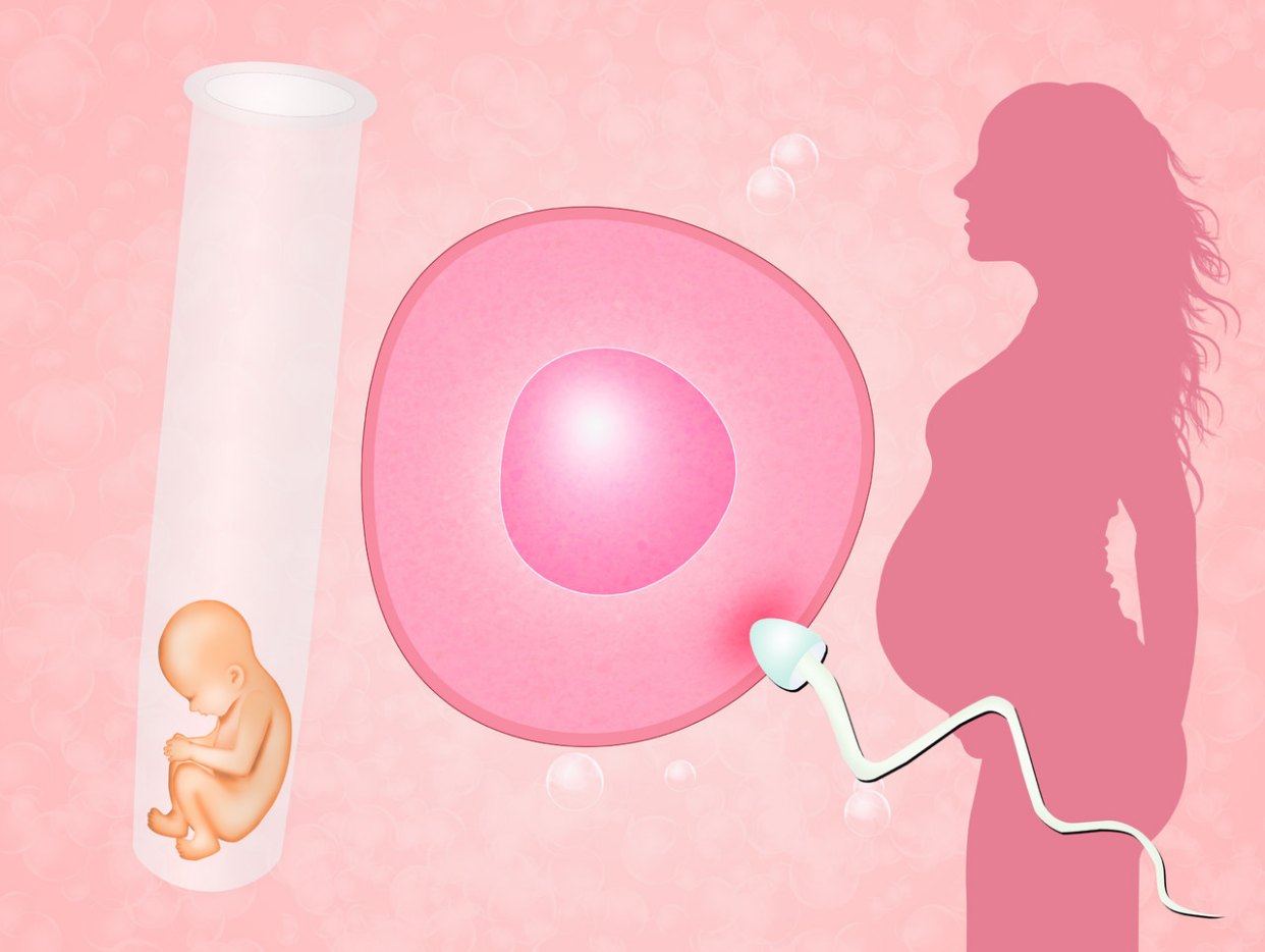 女性最佳受孕